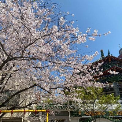 cocoif22's profile picture. 異業種→webエンジニア5年目