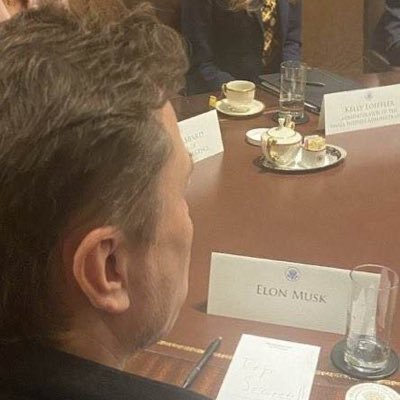 MrElonDm's profile picture. 