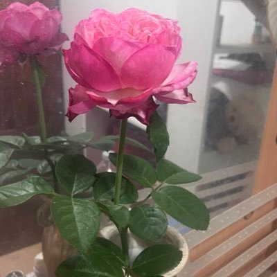 Ny_lapasrada's profile picture. love LiSA love YORCH Love HUNZ