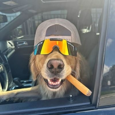 TWIS_EMMX's profile picture. MEXA PLAYER 🇲🇽🌮