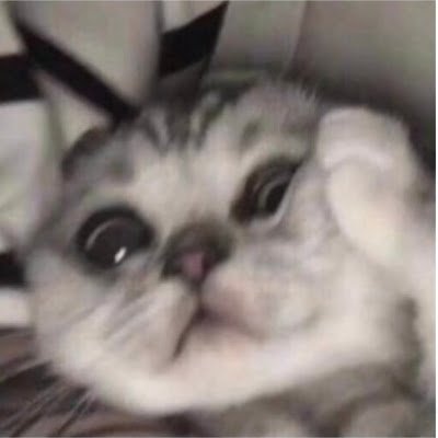 CookieOreo84522's profile picture. 