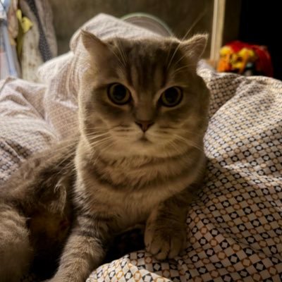 PBussapa's profile picture. วันเกิดพฤหัสณัฐ ที่13/3/68 
สวัสดีชาว #6CODE 💚💚#แม๊กกี้บาส
💚 Got7