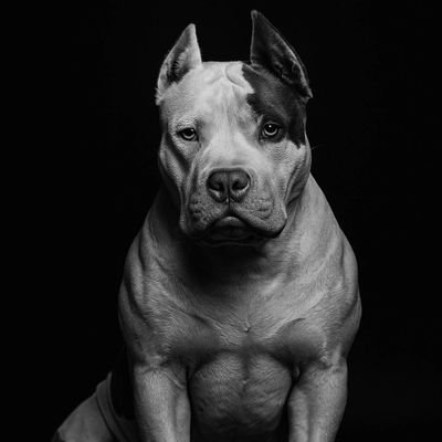 CReinaldo76783's profile picture. 