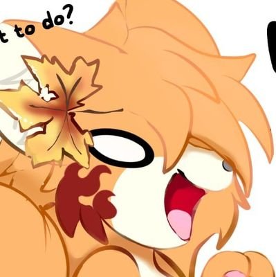 Kochu_the_dog's profile picture. 