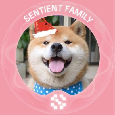 luobin779's profile picture. web3新人