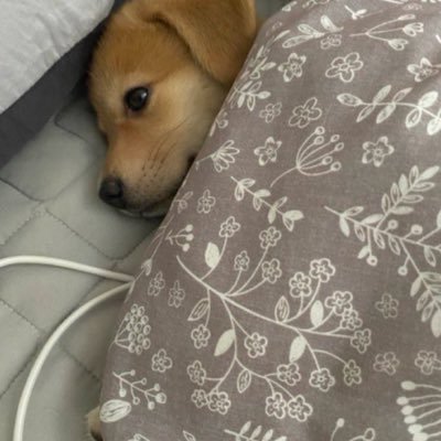 justjabdam's profile picture. 일상계. 일기장