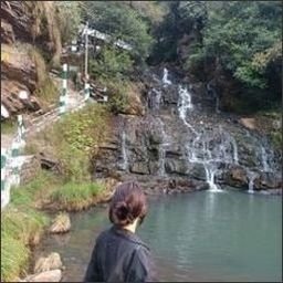 Werwo19305's profile picture. 