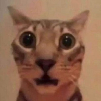 gren0uillebleue's profile picture. ✧.* Je dessine beaucoup. ✧.* J'adore les jeux vidéo. ✧.*🚫Ne republiez pas mon art.🚫 ╰┈➤🚫Don't repost my art.🚫