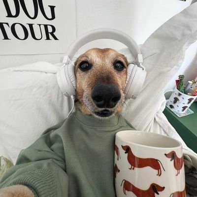 apresentar73063's profile picture. 💫🎧🎬🎙️🎥