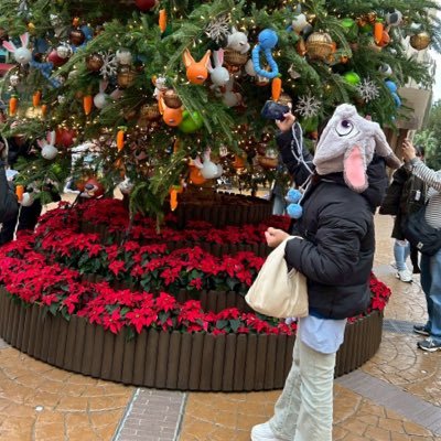 arashisatochi11's profile picture. 本垢兼バイク垢/ちーばくん🥜YZF-R3乗り/クロミ/ディズニー/一眼レフ/基本的に土日祝ライダー/チビッコ番長