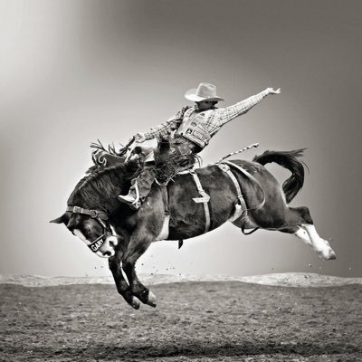 theenoireffect's profile picture. 