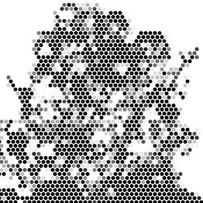 n1d4z3's profile picture. 