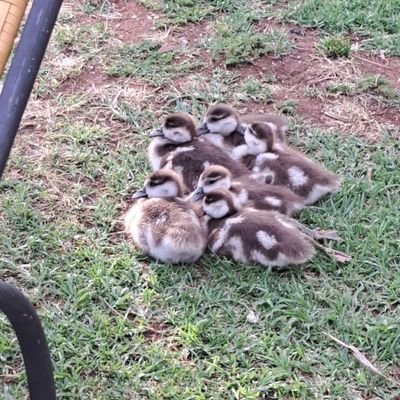 pieter_txc's profile picture. 