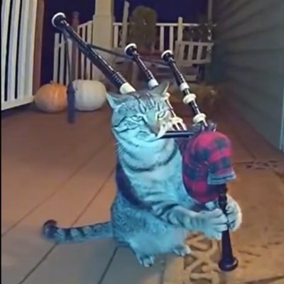 crlsrm's profile picture. "rude - but witty. five stars" —ezra koenig | forbes 30 under 30 | he/him