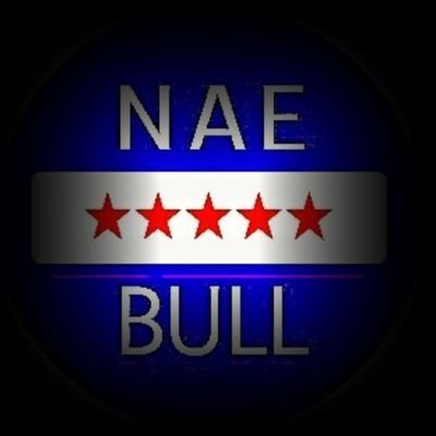 NaeBull's profile picture. Inside Media & Politics. 
Likes Art, History.
✝️ John 8: 31 and 32 : know the truth, and the truth shall set you free. 
⚽️ Supporter of Rangers Football Club.