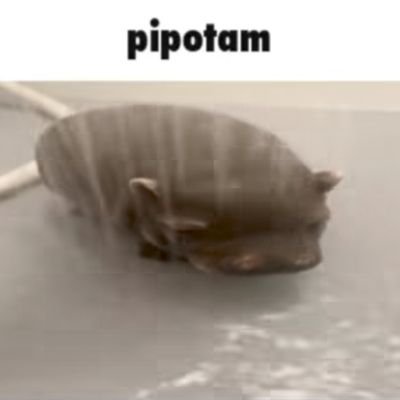 malborosandi444's profile picture. vent de una  lesbiana k solo vive de nostalgia y cigarros💜