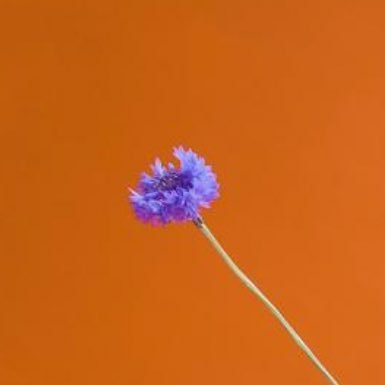 Secretcode5124x's profile picture. 好きなもの好きな人について好きなように呟こうと思います。