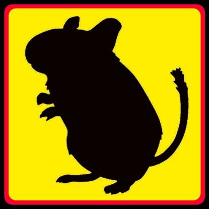 nezumibancyo092's profile picture. 趣味はキャンプです。革職人やってます。メルカリにて販売しております。
たまに血吐きます。
youtubeもよろしくお願いします🐭
#ソロキャンプ  #Bushcraft # #デグー # 日本野営会 #東京女子流 #新井ひとみ様 #間質性肺炎 #心不全 #レザークラフト