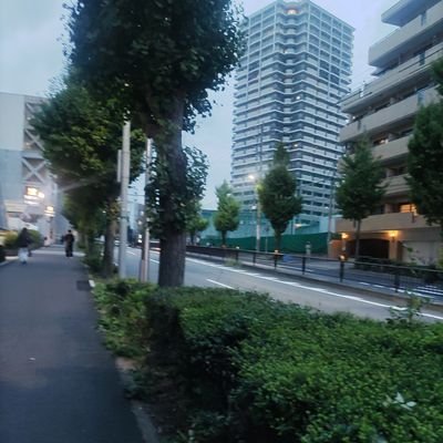 Midolenji_soup's profile picture. ただただ暇なだけの人です
