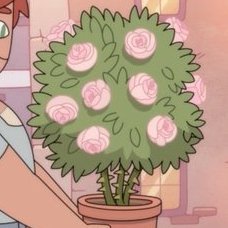 soflcoups81's profile picture. 