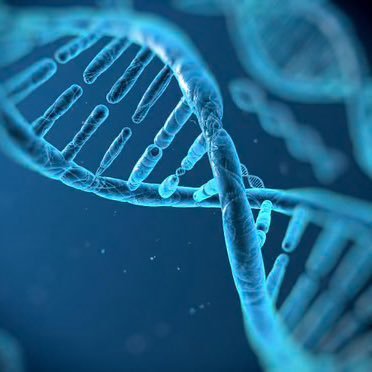 GeneticW's profile picture. CAP Inspector🕵🏻‍♀️| ماجستير الوراثة البشرية الجزيئية🎓|أخصائية وراثة جزيئية🧬| مهتمة بالتعليم والجودة (سبحانك لا علم لنا إلا ما علمتنا)