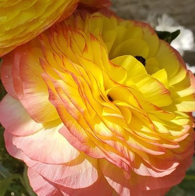 aiai16278187's profile picture. 