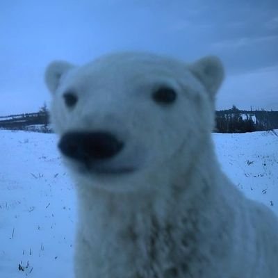 franmxllo's profile picture. eu penso demais e isso se reflete aqui