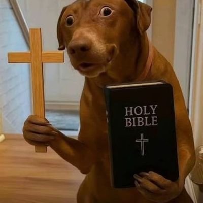 CAPITEC244289's profile picture. 