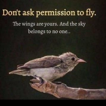 LokaMithya's profile picture. 🇮🇳🇮🇳🇮🇳🇮🇳🇮🇳