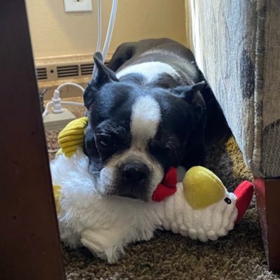 SGee402's profile picture. 