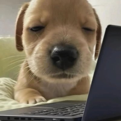 jannijade's profile picture. ปากดี ขี้เหงา เอาแต่ใจ