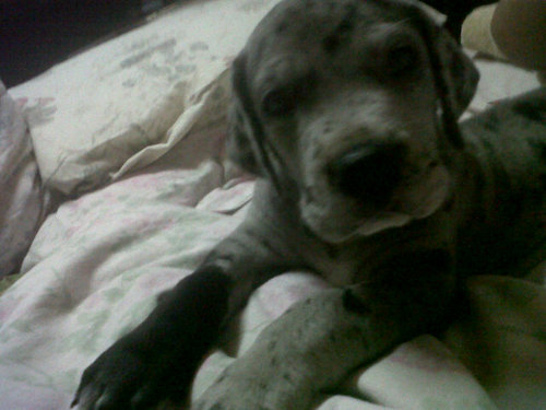 beniteztalavera's profile picture. 