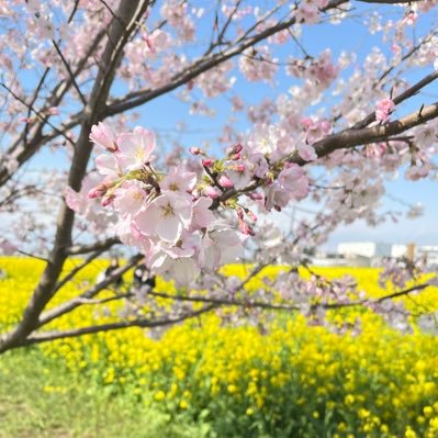 study_kurage07's profile picture. 