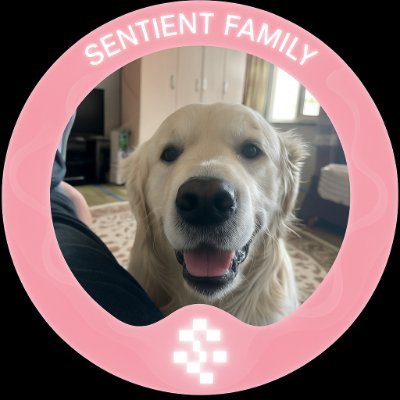 A1111bab's profile picture. 大佬们边撸边学。分享仅供交流，不作为投资建议!