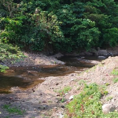 newflyers's profile picture. pag iniwanan Ng ka play move on