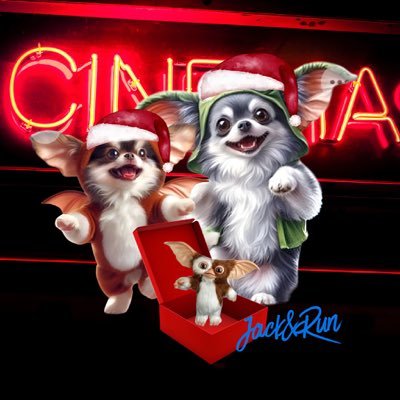 jack_jack_jac9's profile picture. 🐕‍🦺🐕‍🦺🐕‍🦺ジャック🐕‍🦺🐕‍🦺🐕‍🦺ブラックタンのチワワ🎂2009年4月11日生まれ🎂16さい♣️るん🎂2023年9月19日生まれ2さい🖤フォロー大歓迎です💌よろしくお願いします🎱 #チワワ #チワワのいる暮らし #ブラックタン #犬のいる暮らし #ジャックさん #るんるん