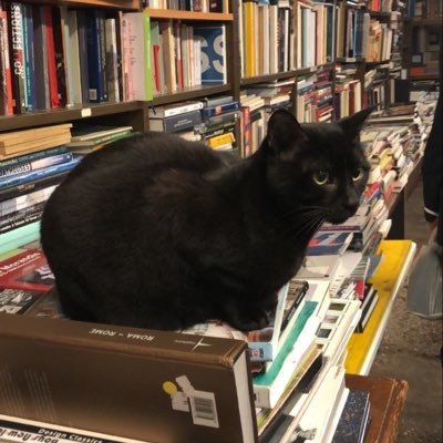 fmiptpe's profile picture. 