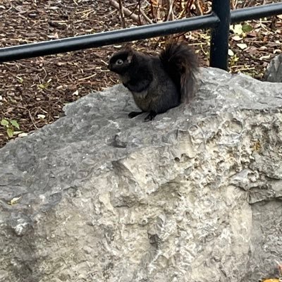 AriLope6017812's profile picture. 