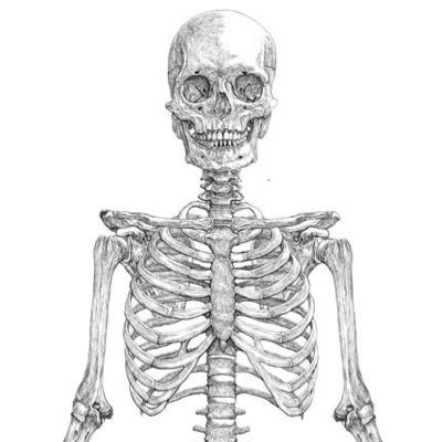 enderllo7's profile picture. 🐺