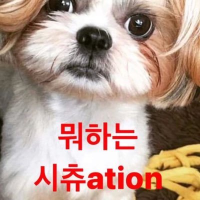 wdlrmakstlzu's profile picture. 