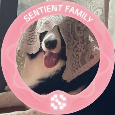 Moon199072's profile picture. 经常整理优质撸毛项目，都是经过本人亲撸的。😶‍🌫️Web⒊白嫖撸毛看我就够了，每日分享亲自做了的白嫖项目丨天降大毛于撸毛者，必先苦其心志，劳其筋骨，饿其体肤。🤡