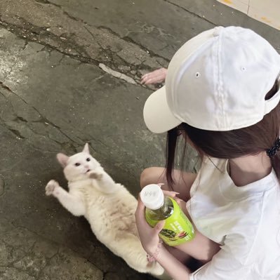 memewii221's profile picture. 📍หารแอพพรีเมียมดูซีรี่ย์ ดูบอล แบบไม่มีโฆษณา ૮₍ ˶ᵔ ᵕ ᵔ˶ ₎ა ❤︎ Netflix ❤︎ Viu ❤︎ Wetv ❤︎ Iqiyi ❤︎ Disney plus ❤︎ Mono 📮จิ้มลิงค์แอดบ้านเขียว ตอบเร็วว 24 ชม.