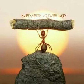 thep3rfectmind's profile picture. শক্তি দাও বিধাতা, 
অনন্ত কাল ধরে জ্বলছে হৃদয়!
 হয়তো কেউ বোঝে না কত সত্য এ প্রণয়