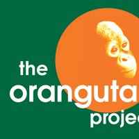 Orangutan Project (@orangutantop) 's Twitter Profile