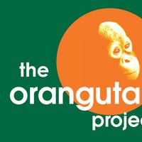 Orangutan Project(@OrangutanTOP) 's Twitter Profile Photo