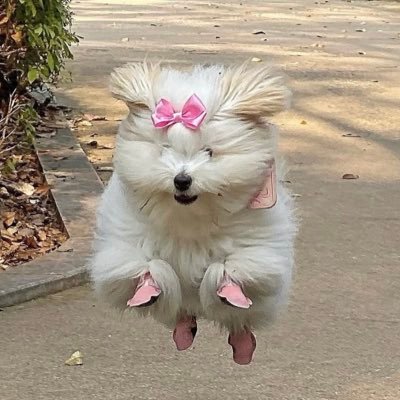 atarislantern's profile picture. sleepy in the southwest