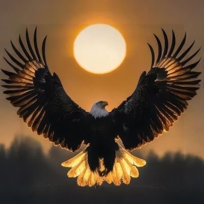 Isra_FCB's profile picture. No Guts No Glory 🦅⚔️ | Opinions that sting, But Never Miss🎯 |.... A Bloody Stan of the best club in the world @FcBarcelona 💙❤️ Més que un club