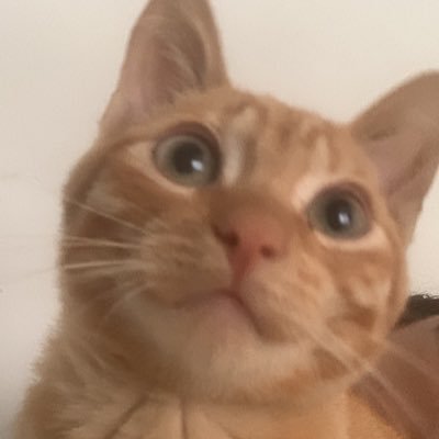 frobidden_'s profile picture. 