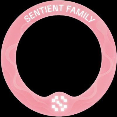 SteveHorin1's profile picture. You try to reach your destination, victory is very close to you@DataHaven_xyz