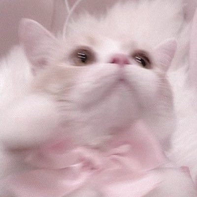 pino___16's profile picture. 1stブルベ夏2ndイエベ春💍make/Beauty/fashion